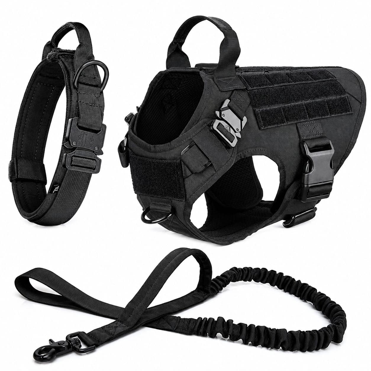 Harness