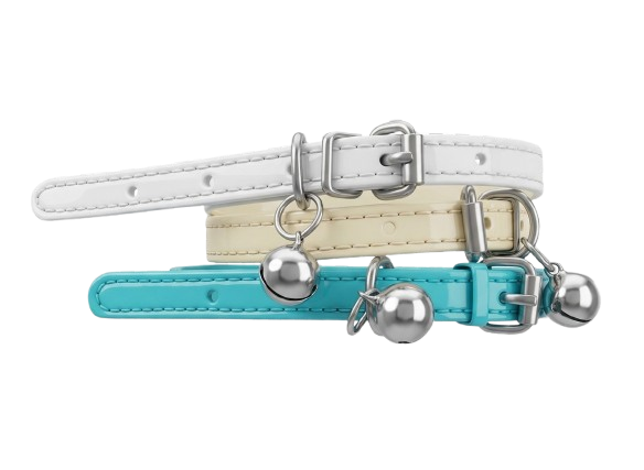 Collar & Tags